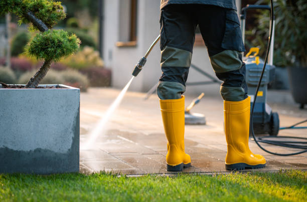 Best Pressure Washing Near Me  in Highland City, FL